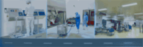 20241104449424.gif